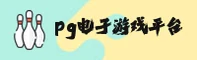 使用指南与常见问题